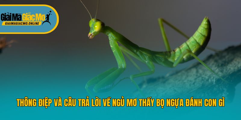 Thông điệp và câu trả lời về ngủ mơ thấy bọ ngựa đánh con gì