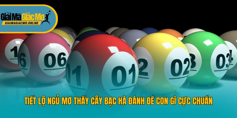 Tiết lộ ngủ mơ thấy cây bạc hà đánh đề con gì cực chuẩn