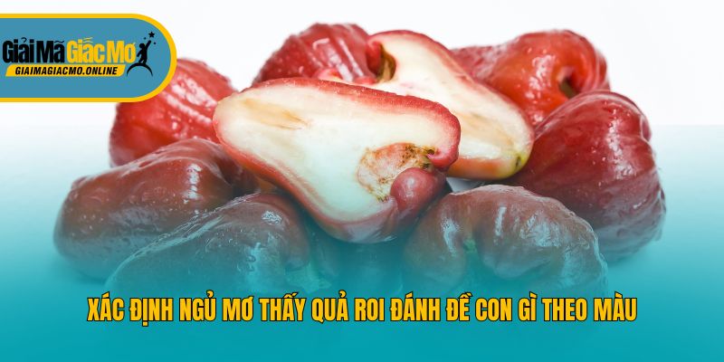 Xác định ngủ mơ thấy quả roi đánh đề con gì theo màu