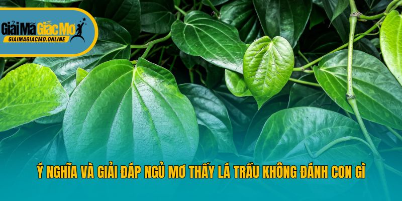 Ý nghĩa và giải đáp ngủ mơ thấy lá trầu không đánh con gì