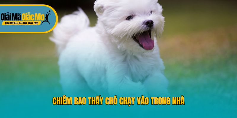 Chiêm bao thấy chó chạy vào trong nhà