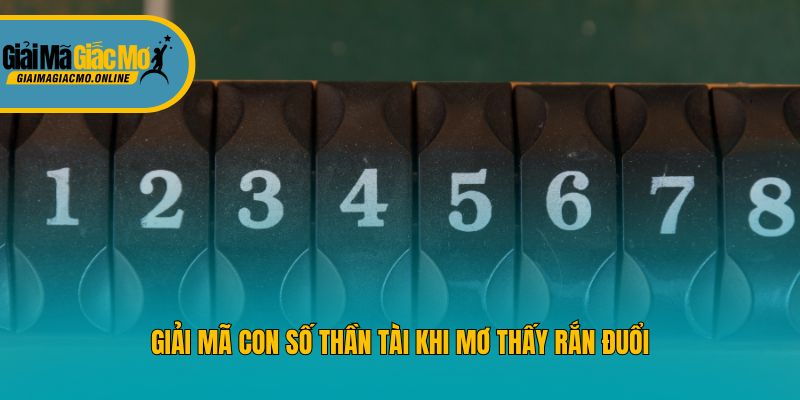 Giải mã con số thần tài khi mơ thấy rắn đuổi