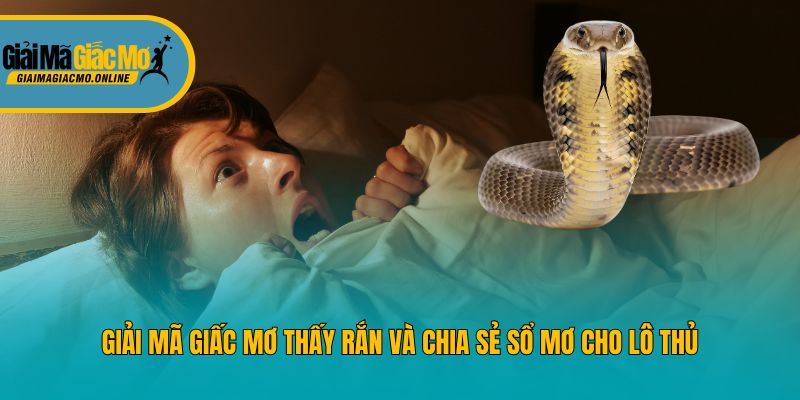 Giải Mã Giấc Mơ Thấy Rắn Và Chia Sẻ Sổ Mơ Cho Lô Thủ