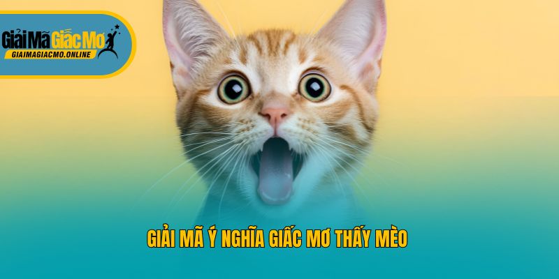 Giải mã ý nghĩa giấc mơ thấy mèo 