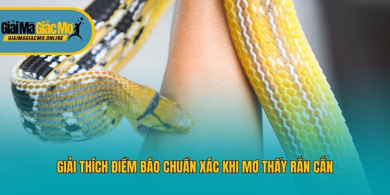 Giải thích điềm báo chuẩn xác khi mơ thấy rắn cắn