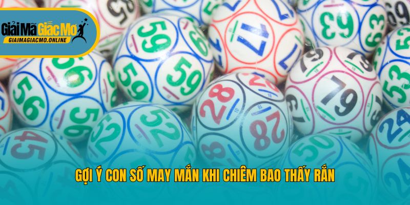 Gợi ý con số may mắn khi chiêm bao thấy rắn
