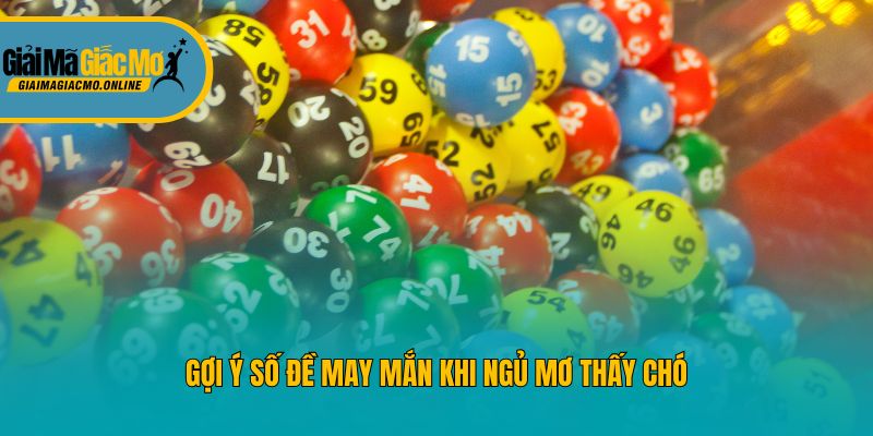 Gợi ý số đề may mắn khi ngủ mơ thấy chó