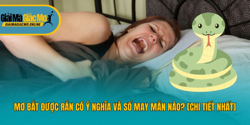 Mơ Bắt Được Rắn Có Ý Nghĩa Và Số May Mắn Nào? [Chi Tiết Nhất]