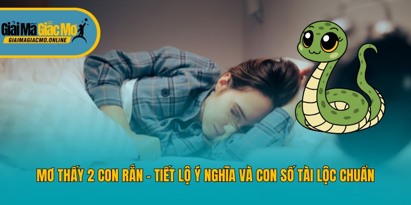 Mơ Thấy 2 Con Rắn - Tiết Lộ Ý Nghĩa Và Con Số Tài Lộc Chuẩn