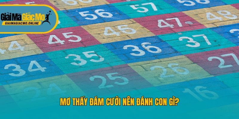 Mơ thấy đám cưới nên đánh con gì?