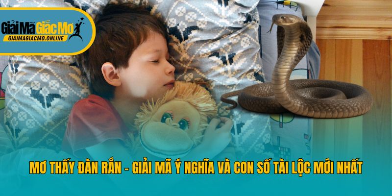 Mơ Thấy Đàn Rắn - Giải Mã Ý Nghĩa Và Con Số Tài Lộc Mới Nhất