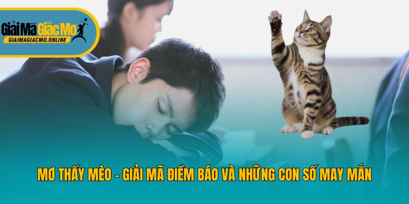 Mơ Thấy Mèo - Giải Mã Điềm Báo Và Những Con Số May Mắn