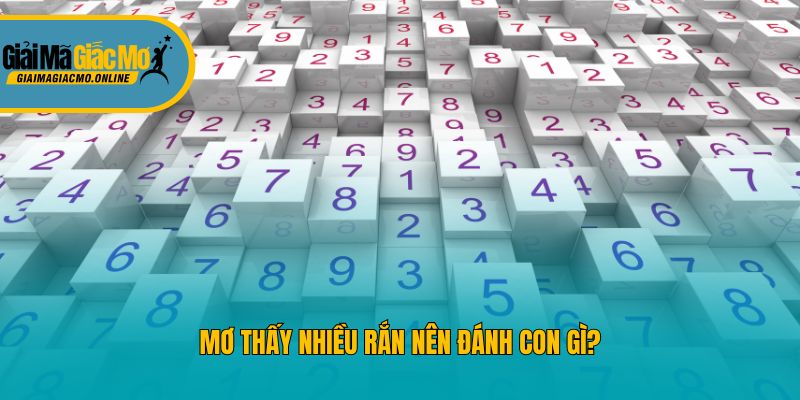 Mơ thấy nhiều rắn nên đánh con gì?