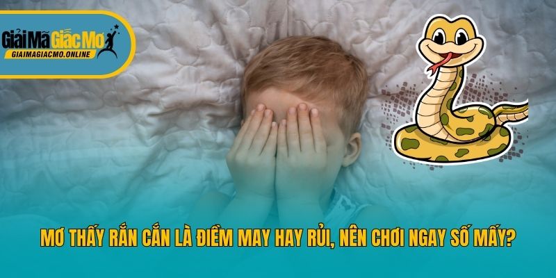 Mơ Thấy Rắn Cắn Là Điềm May Hay Rủi, Nên Chơi Ngay Số Mấy?