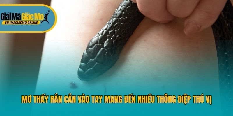 Mơ thấy rắn cắn vào tay mang đến nhiều thông điệp thú vị