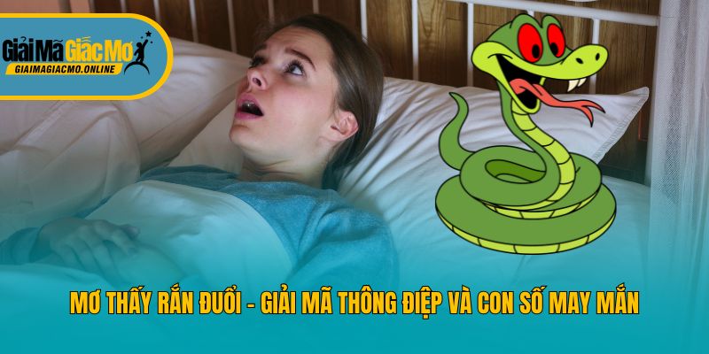 Mơ Thấy Rắn Đuổi - Giải Mã Thông Điệp Và Con Số May Mắn