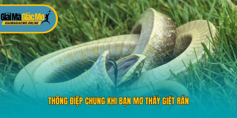 Thông điệp chung khi bạn mơ thấy giết rắn