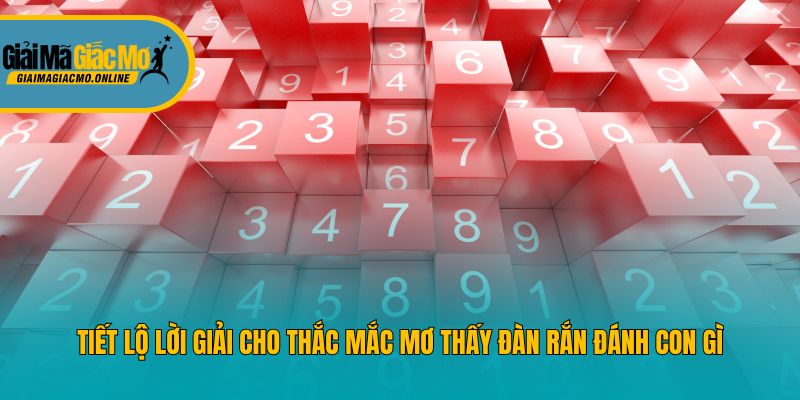 Tiết lộ lời giải cho thắc mắc mơ thấy đàn rắn đánh con gì