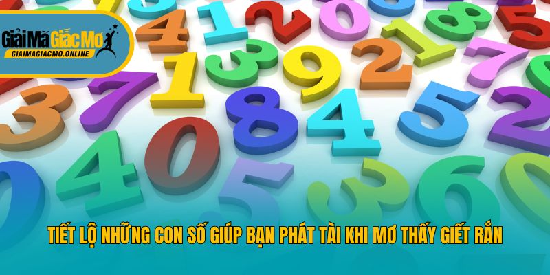 Tiết lộ những con số giúp bạn phát tài khi mơ thấy giết rắn