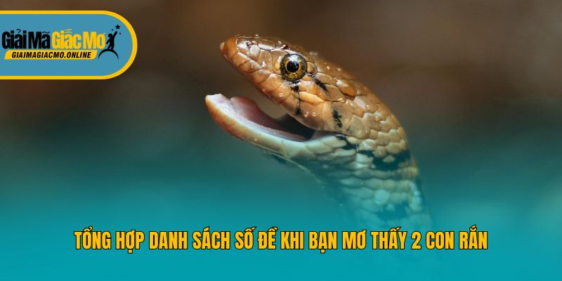 Tổng hợp danh sách số đề khi bạn mơ thấy 2 con rắn